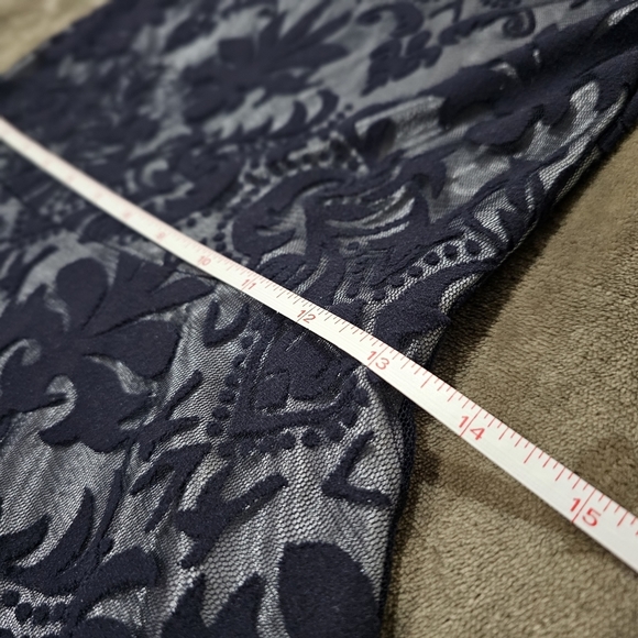 SALLY MILLER Victorian Vibes Dress Silky Silver Lining Deep Blue Sheer Velvet - Picture 14 of 17